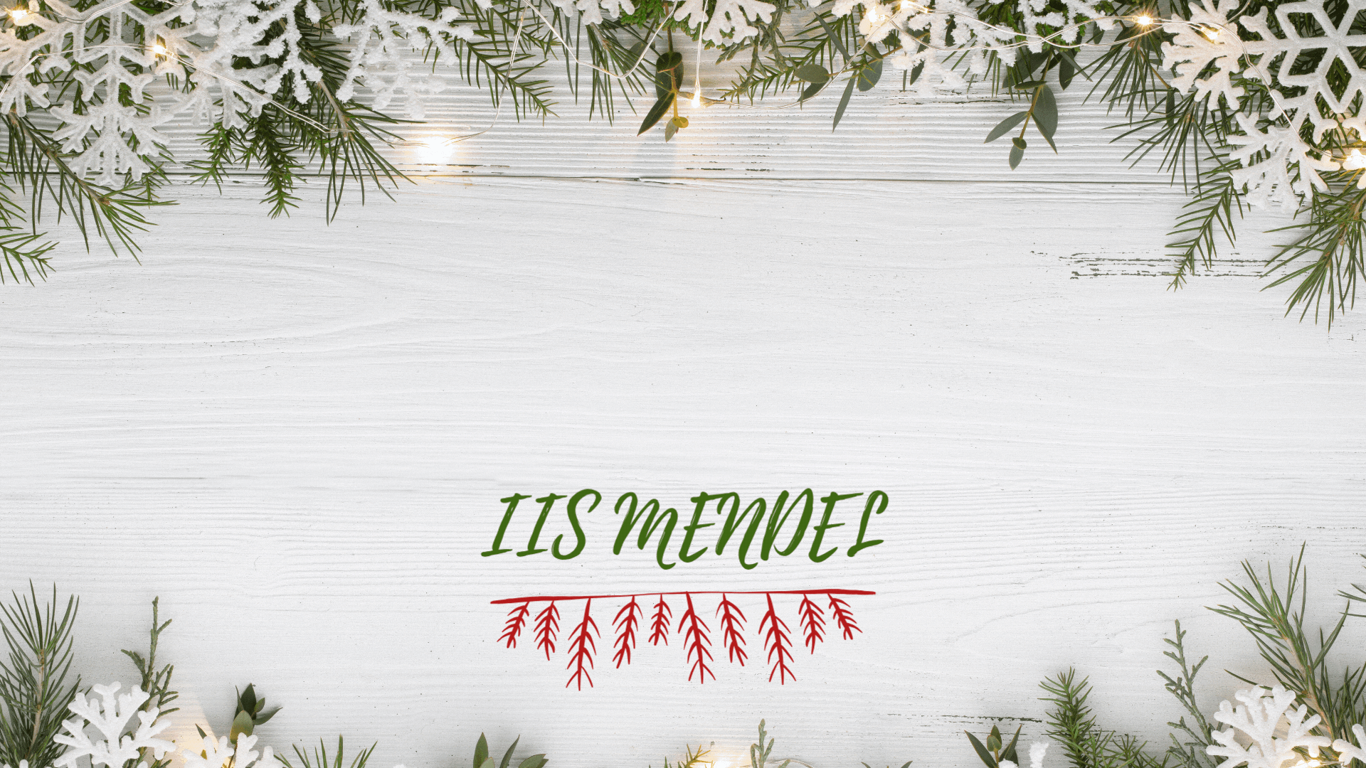 Vendita piante natalizie.gif