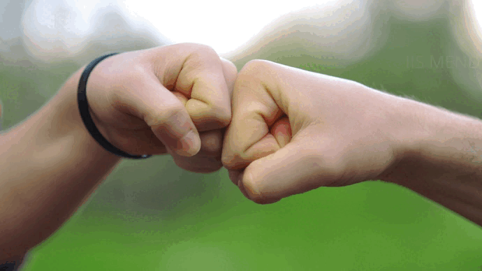 inclusione (1).gif